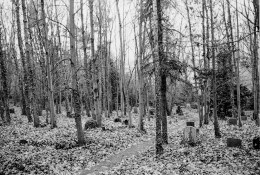 Dresden - St. Pauli Friedhof