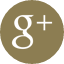 Google+